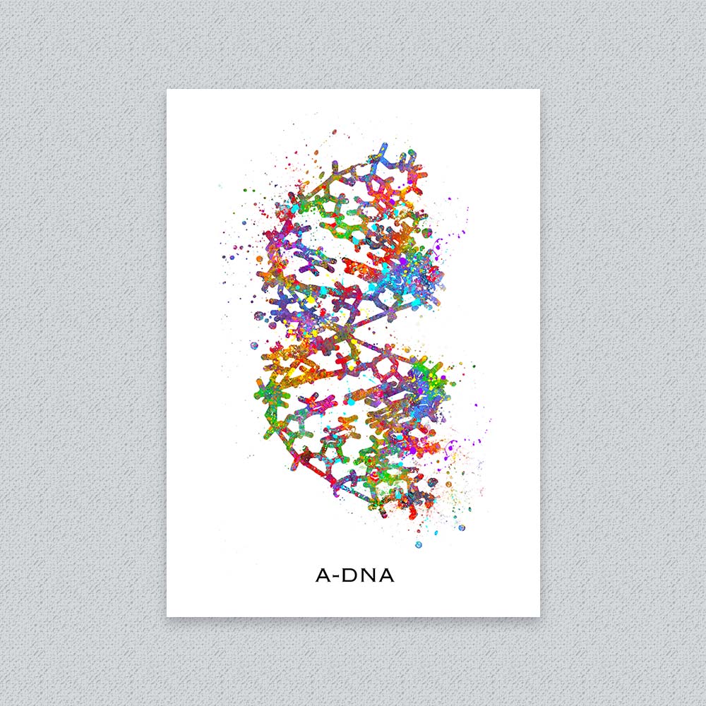 A-DNA Structure Art Print – Molecular Biology Wall Decor