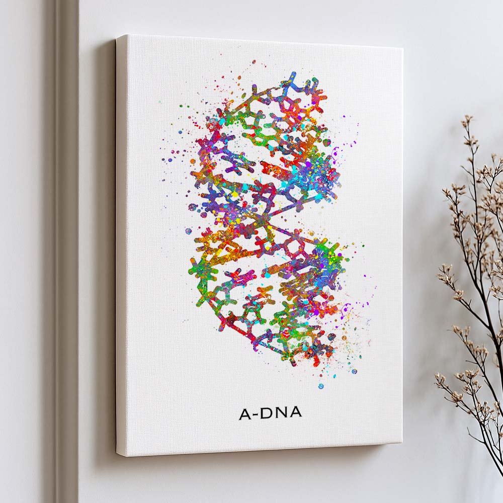 A-DNA Structure Art Print – Molecular Biology Wall Decor