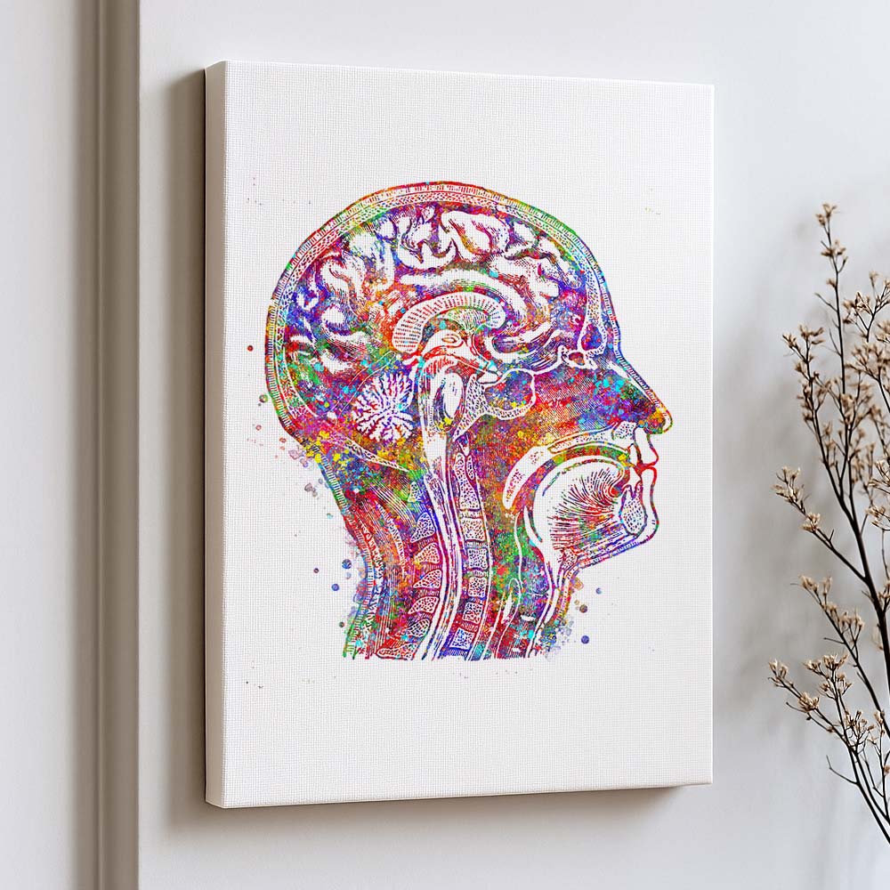 Brain Cross-Section Art Print – Head Anatomy Wall Decor
