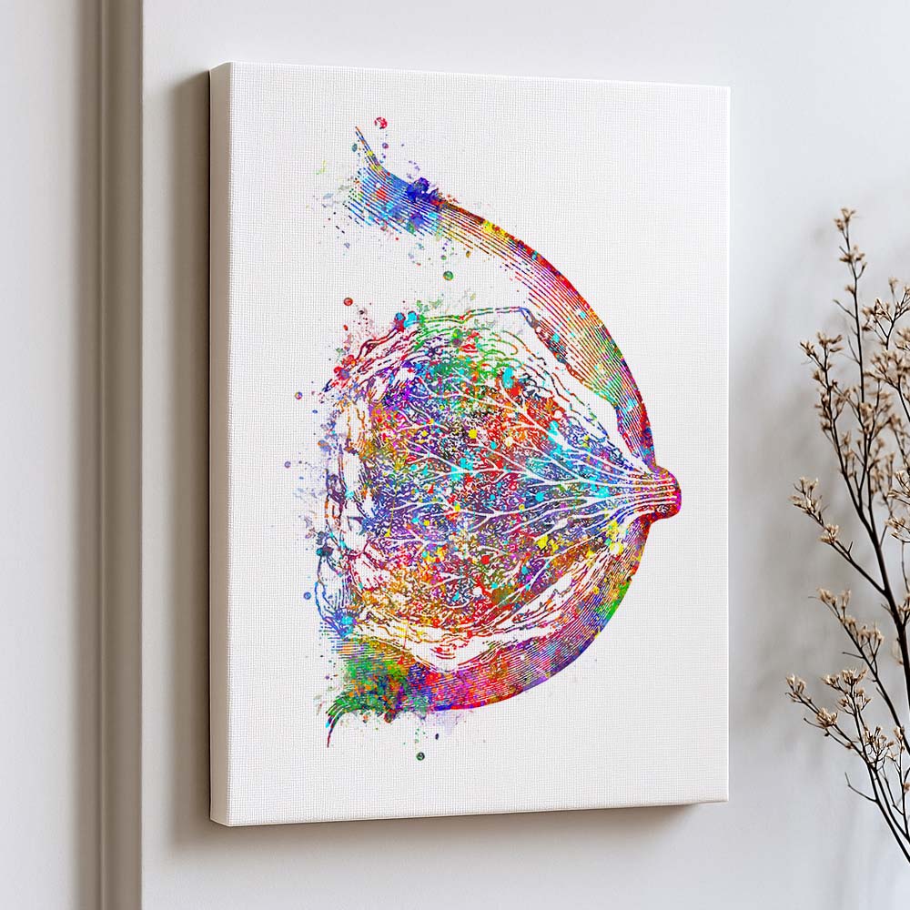 Breast Anatomy Art Print – Colorful Medical Illustration
