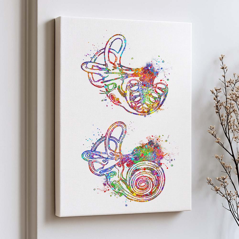 Inner Ear Anatomy Art Print – Cochlea & Labyrinth Wall Decor