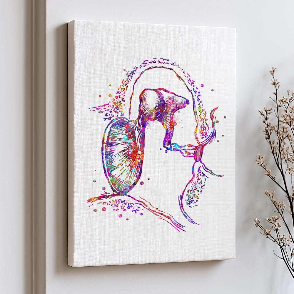 Middle Ear Anatomy Art Print – Modern Medical Wall Art