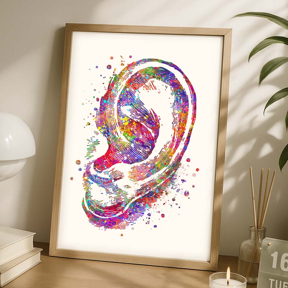 Ear Anatomy Wall Art – Outer Ear Print