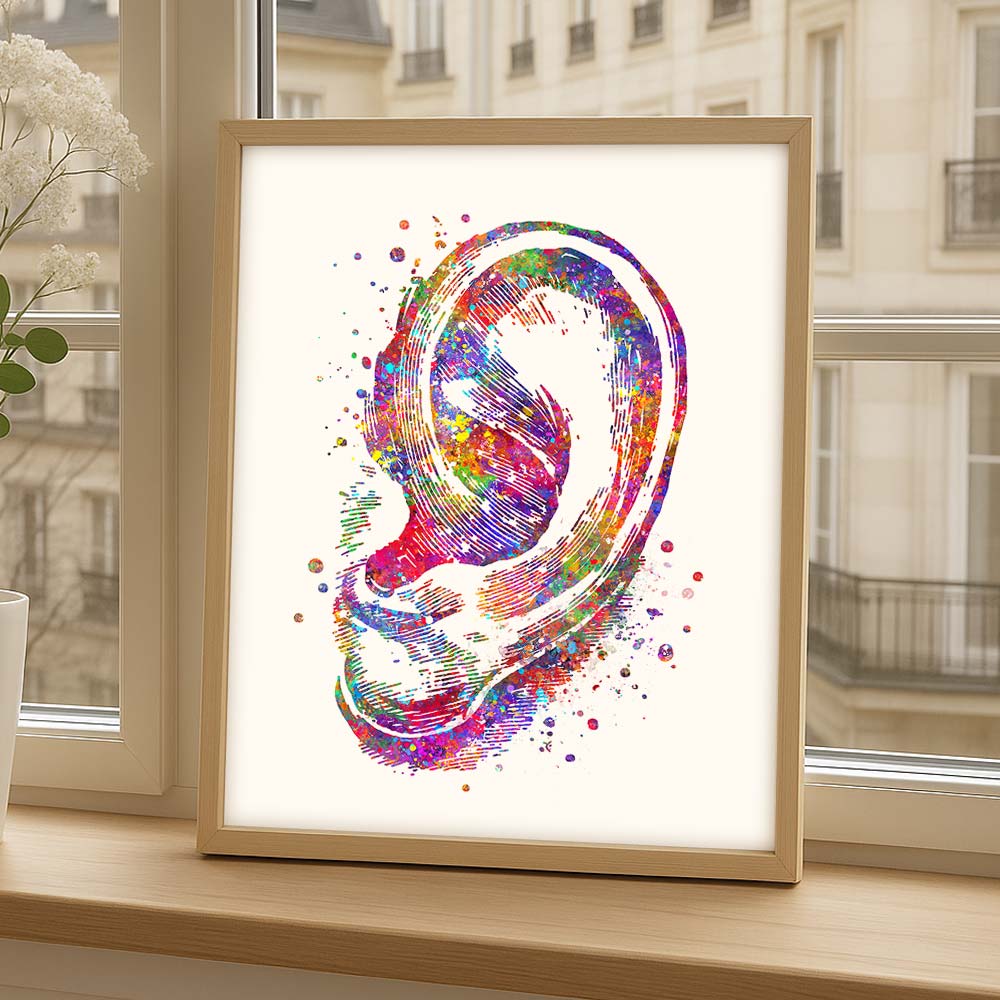 Ear Anatomy Wall Art – Outer Ear Print
