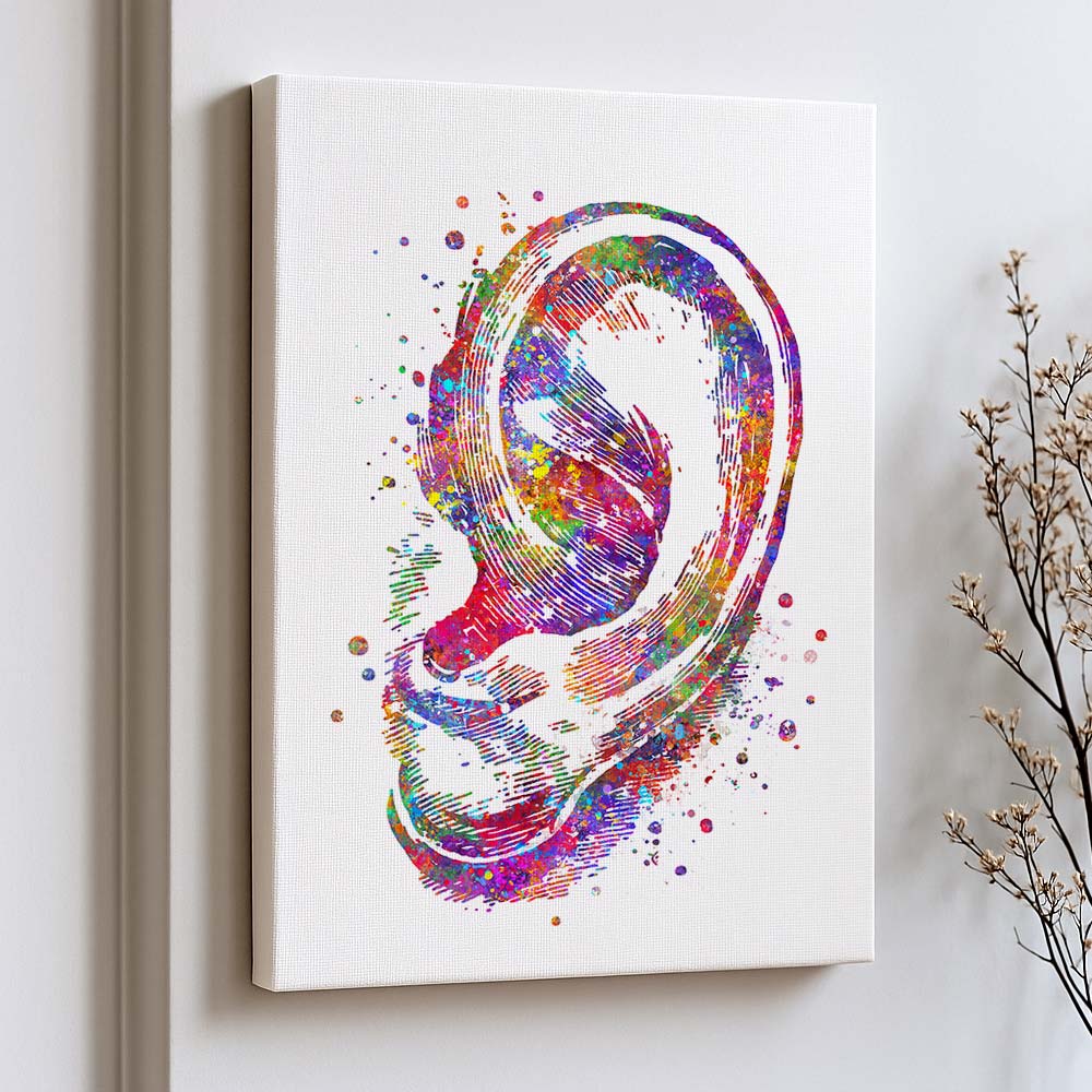 Ear Anatomy Wall Art – Outer Ear Print