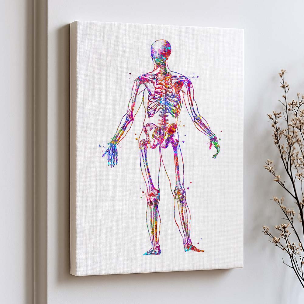 Human Skeleton Poster – Back View Anatomy Art Print