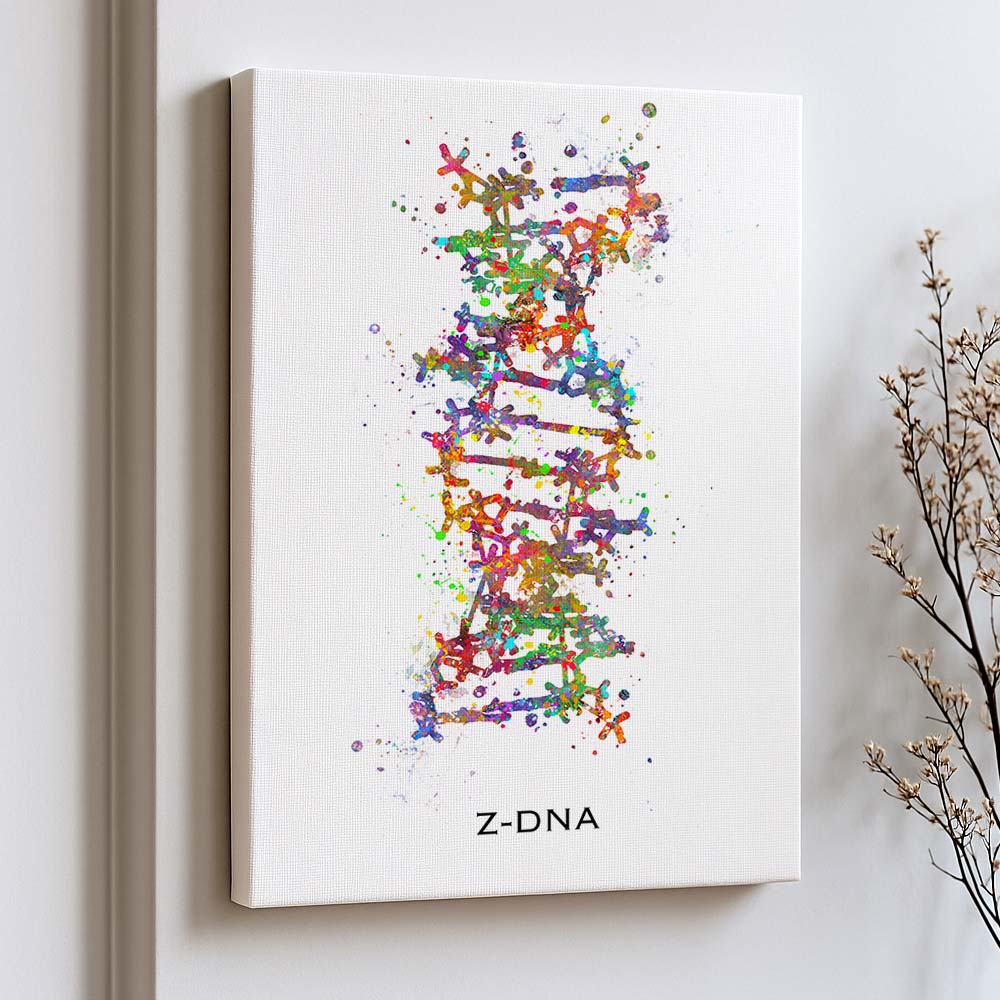 Z-DNA Structure Art Print – Molecular Biology Wall Decor