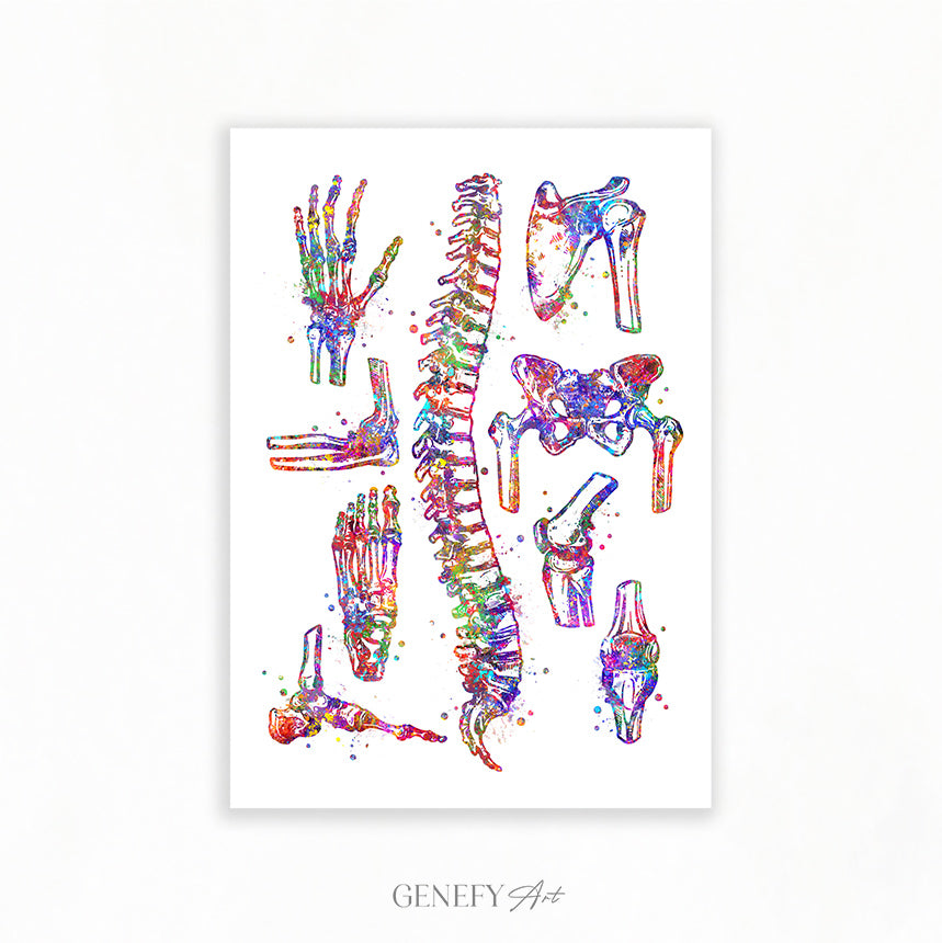 Human Main Bones Anatomy Watercolour Print