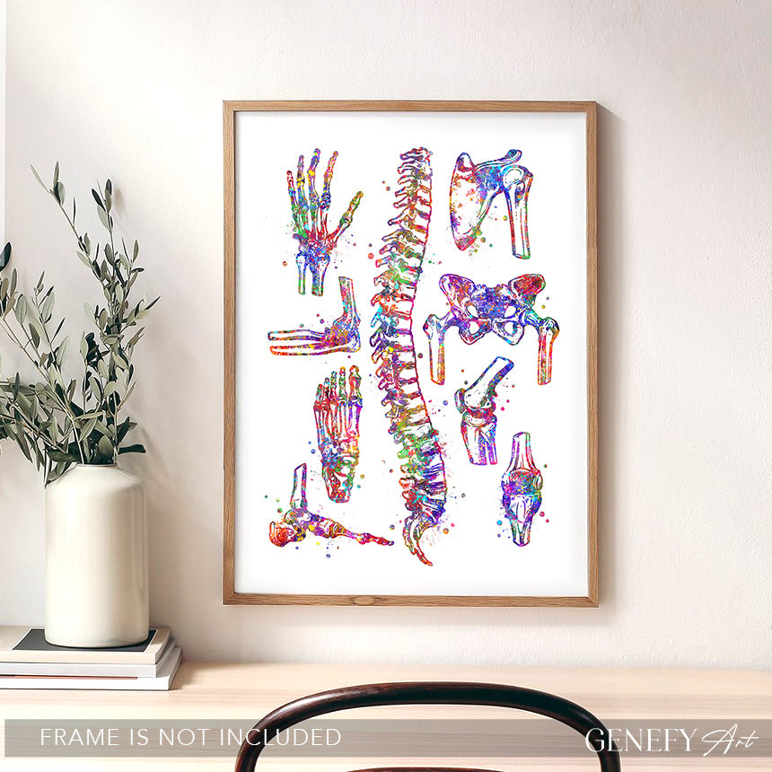 Human Main Bones Anatomy Watercolour Print