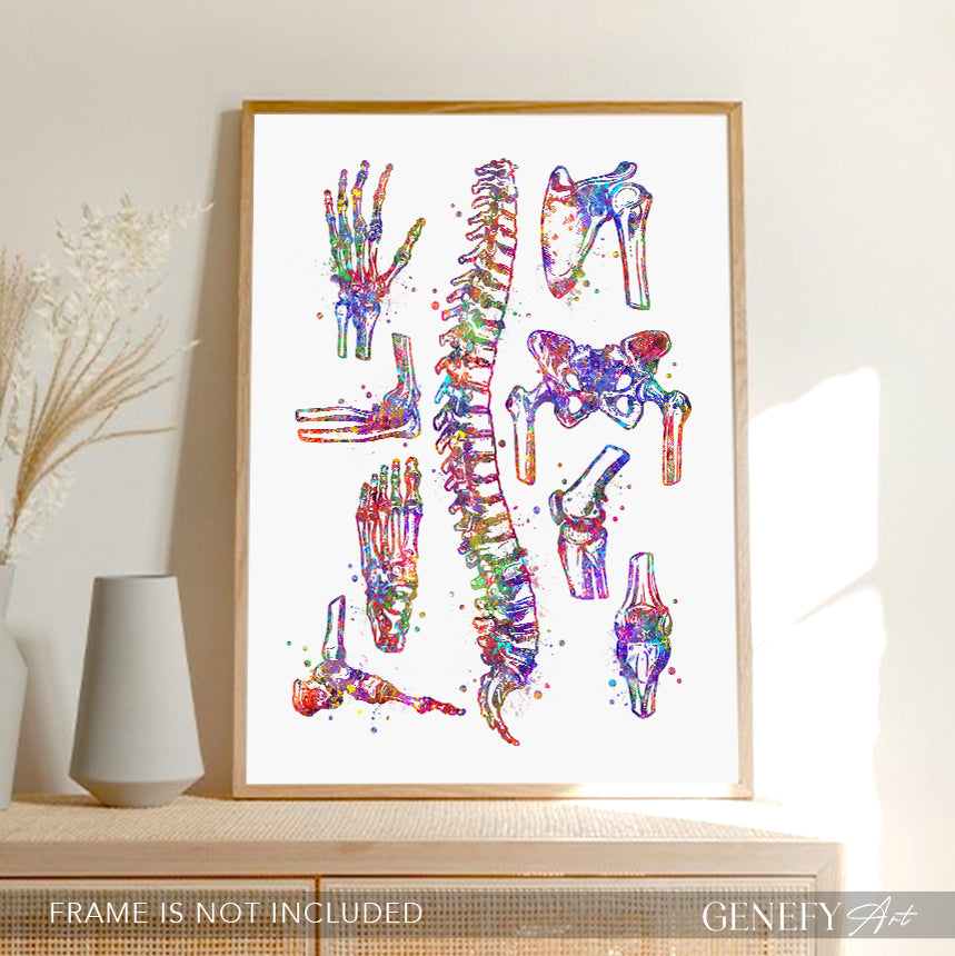 Human Main Bones Anatomy Watercolour Print