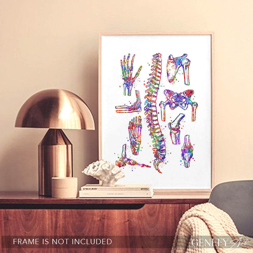 Human Main Bones Anatomy Watercolour Print