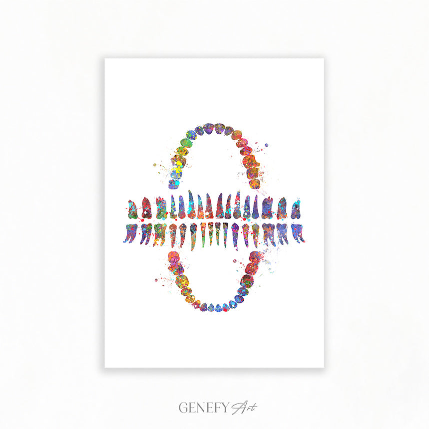 Teeth Chart Watercolour Print - Genefy Art