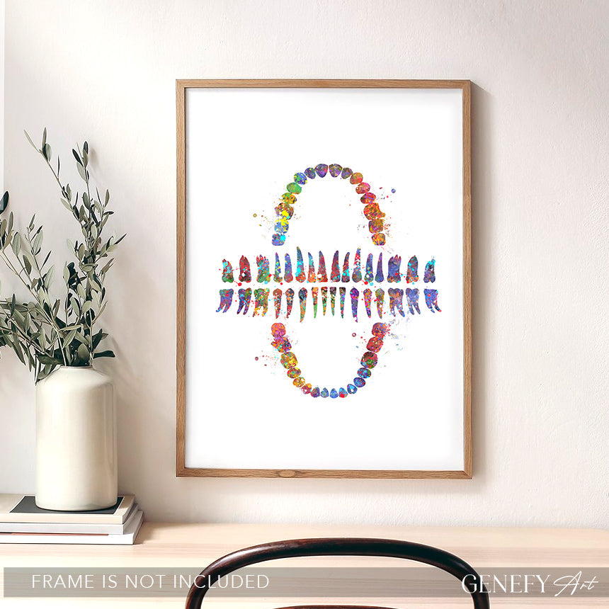 Teeth Chart Watercolour Print - Genefy Art