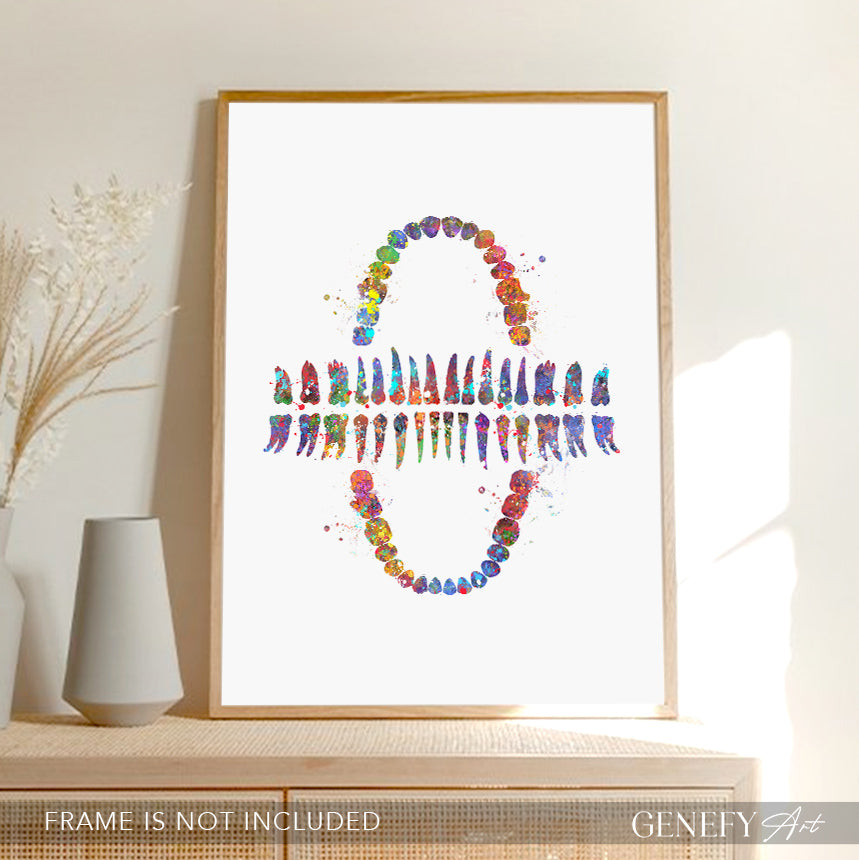 Teeth Chart Watercolour Print - Genefy Art
