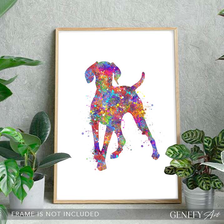 Hungarian Vizsla Watercolour Print