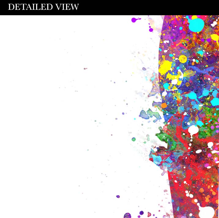 Hungarian Vizsla Watercolour Print