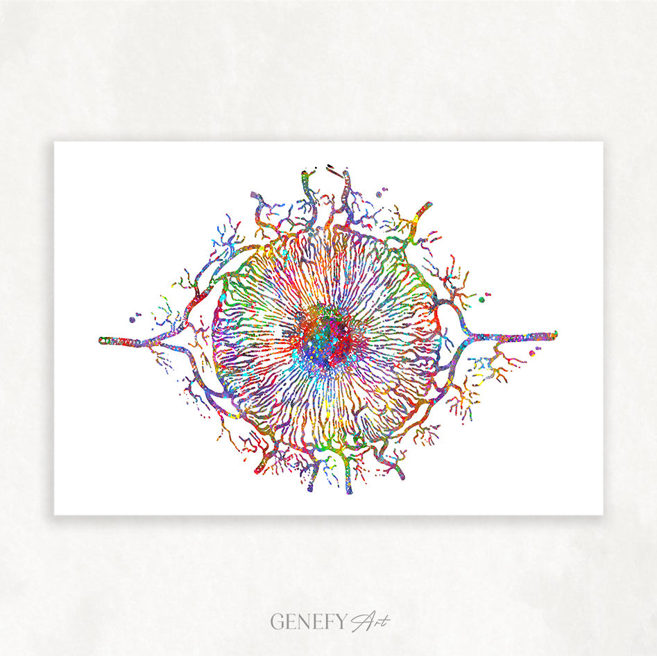 Iris Eye Anatomy Watercolour Print