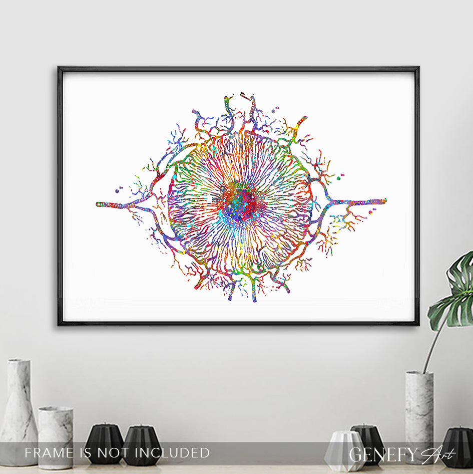 Iris Eye Anatomy Watercolour Print