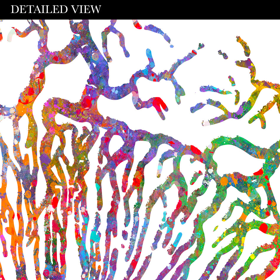 Iris Eye Anatomy Watercolour Print