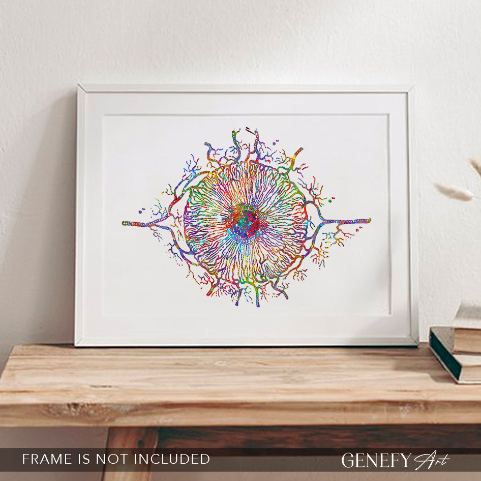 Iris Eye Anatomy Watercolour Print