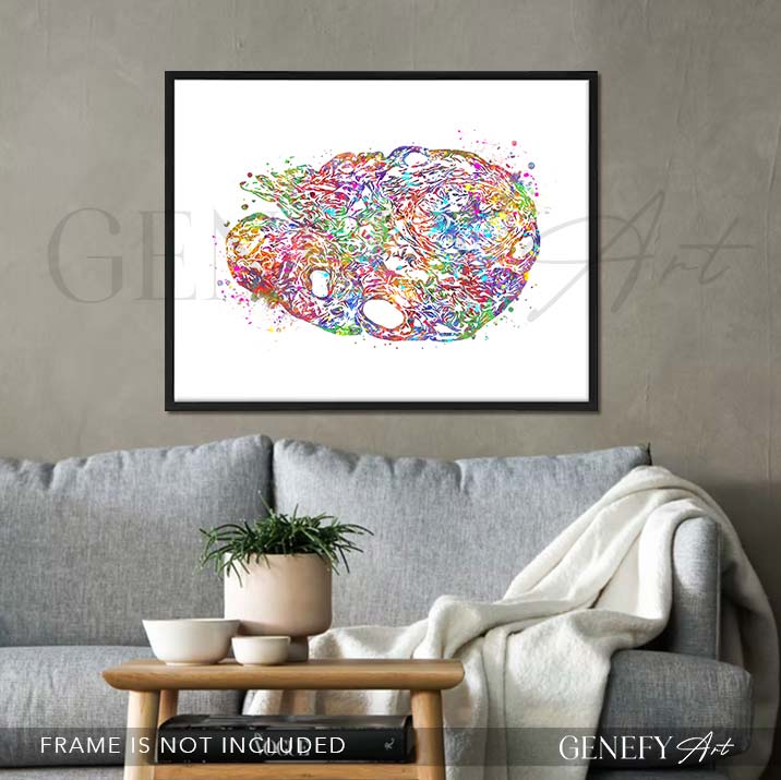 Ovary Anatomy Watercolour Art Print