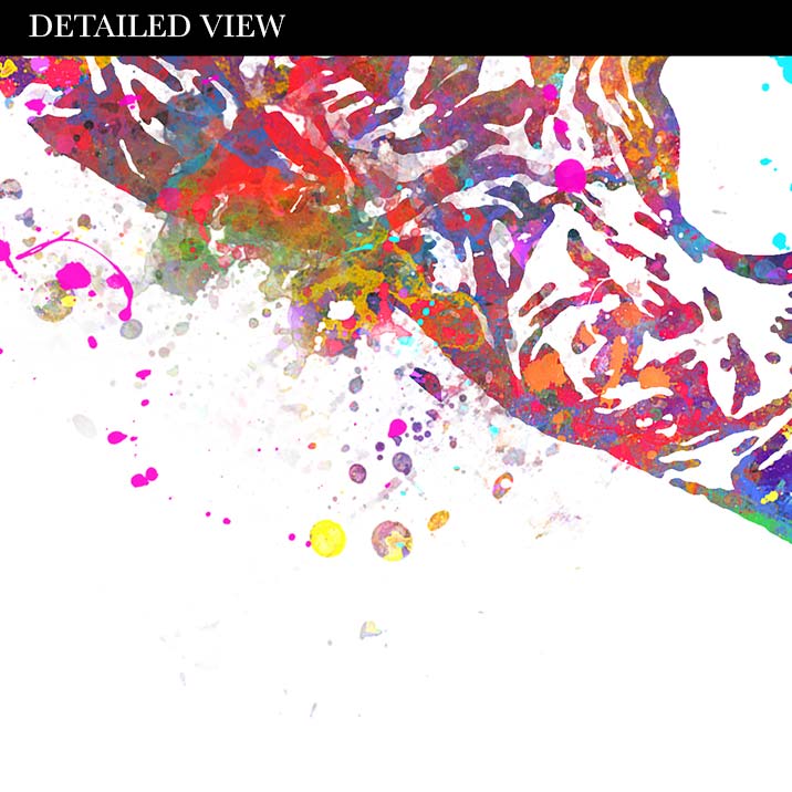 Ovary Anatomy Watercolour Art Print