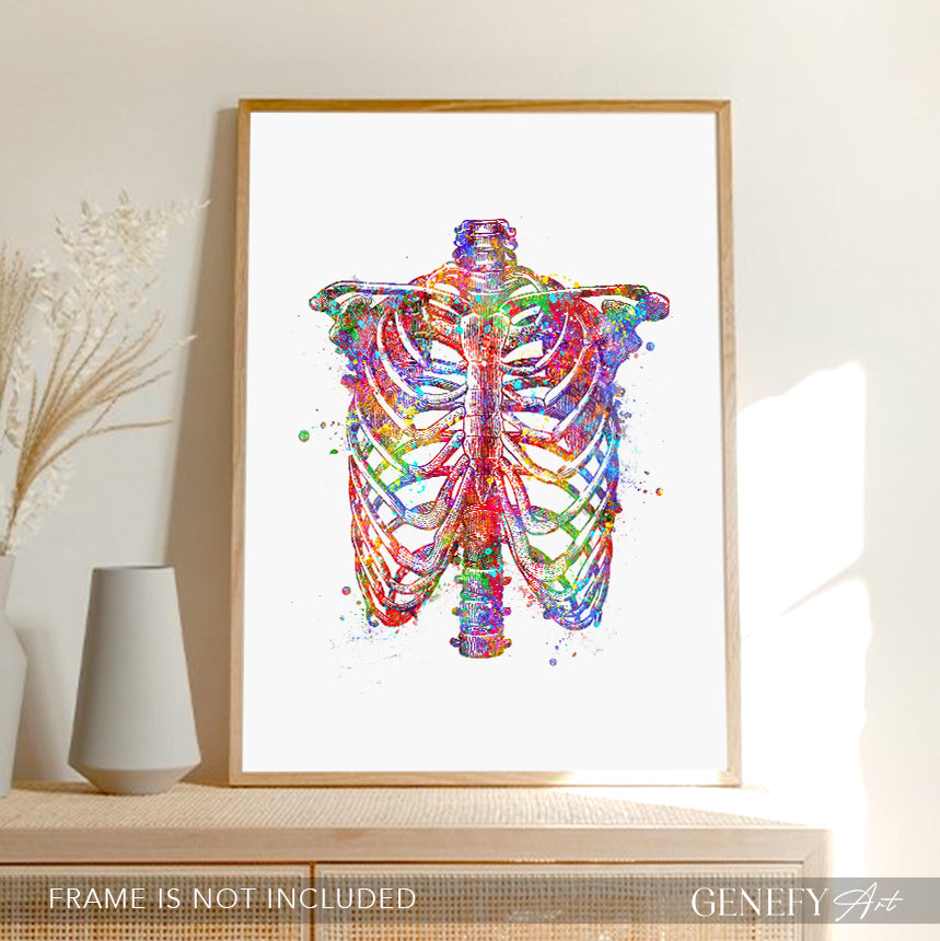 Rib Cage Anatomy Art Print