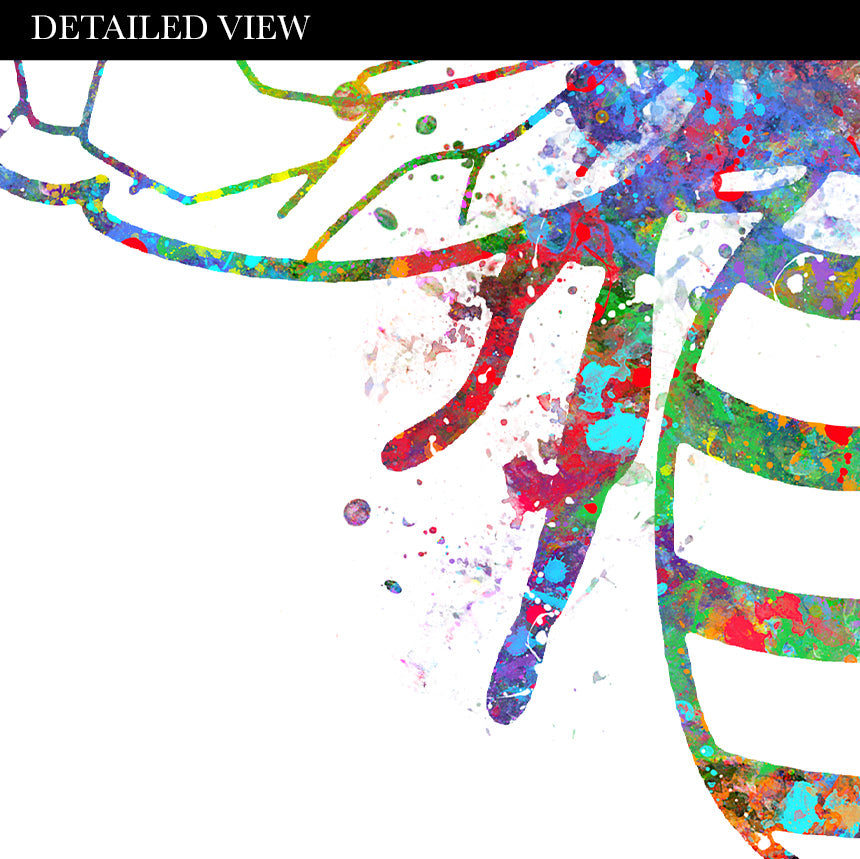 Bee Watercolour Print