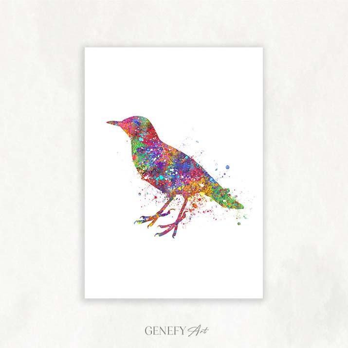 Bird Watercolour Print - Genefy Art
