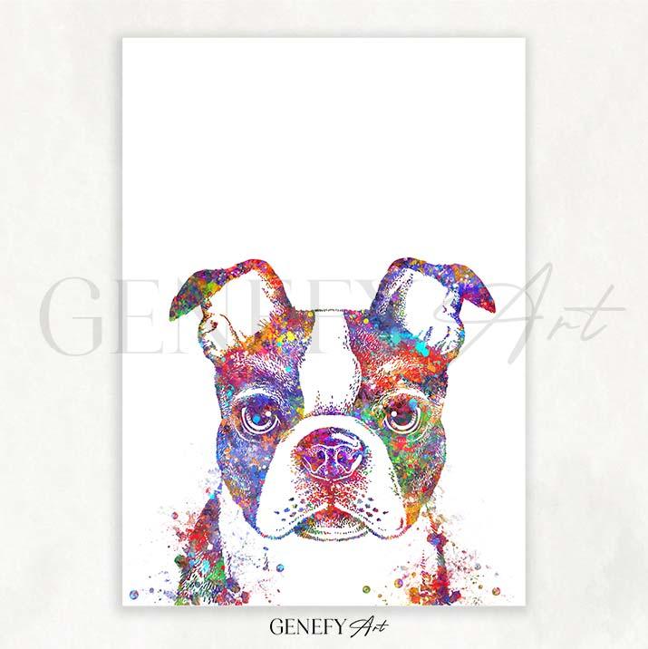 Boston Terrier Watercolour Print - Genefy Art