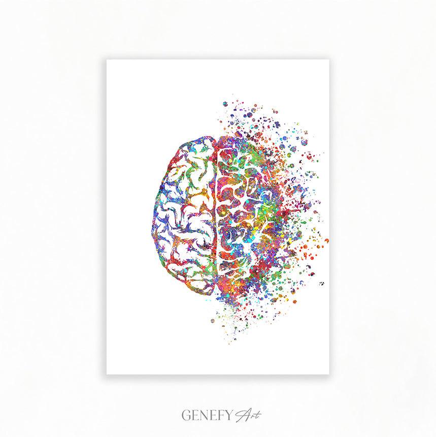 Brain Anatomy Watercolour Art Print - Genefy Art
