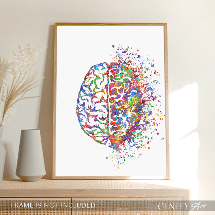Brain Anatomy Watercolour Art Print