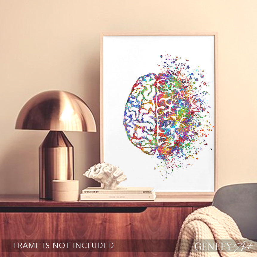 Brain Anatomy Watercolour Art Print