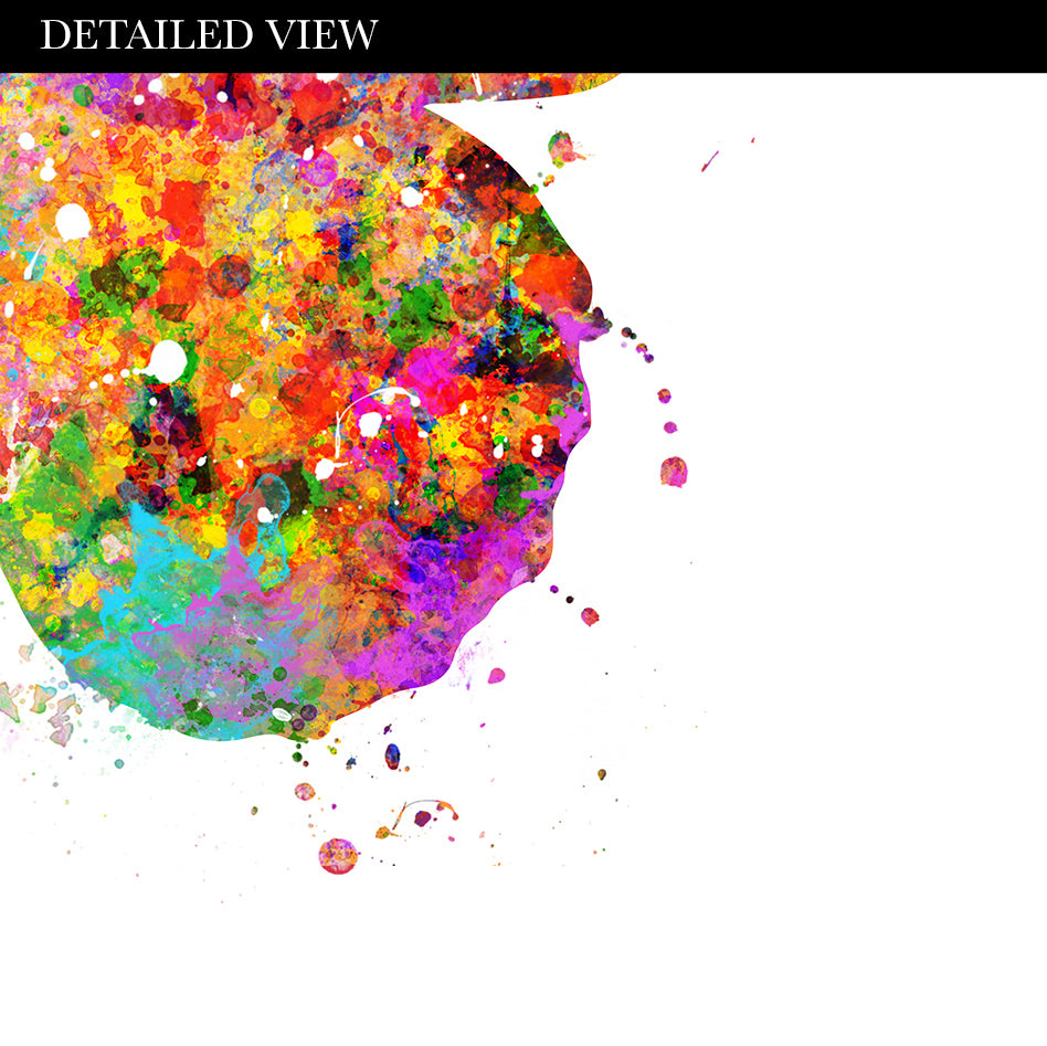 Butterfly Watercolour Print