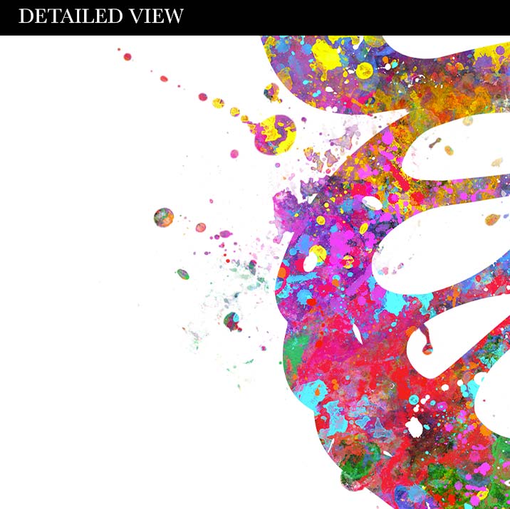 Butterfly Watercolour Print