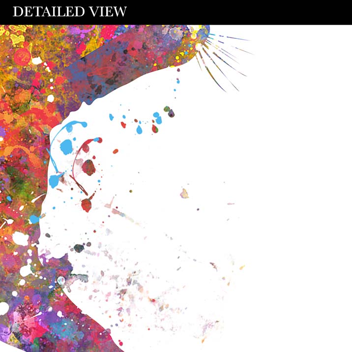 Cat Walking Watercolour Print