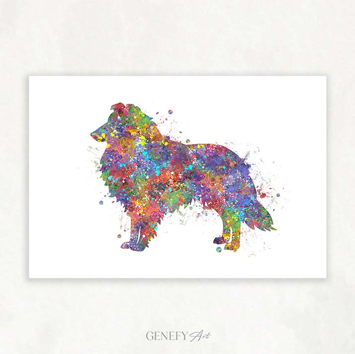 Collie Watercolour Print
