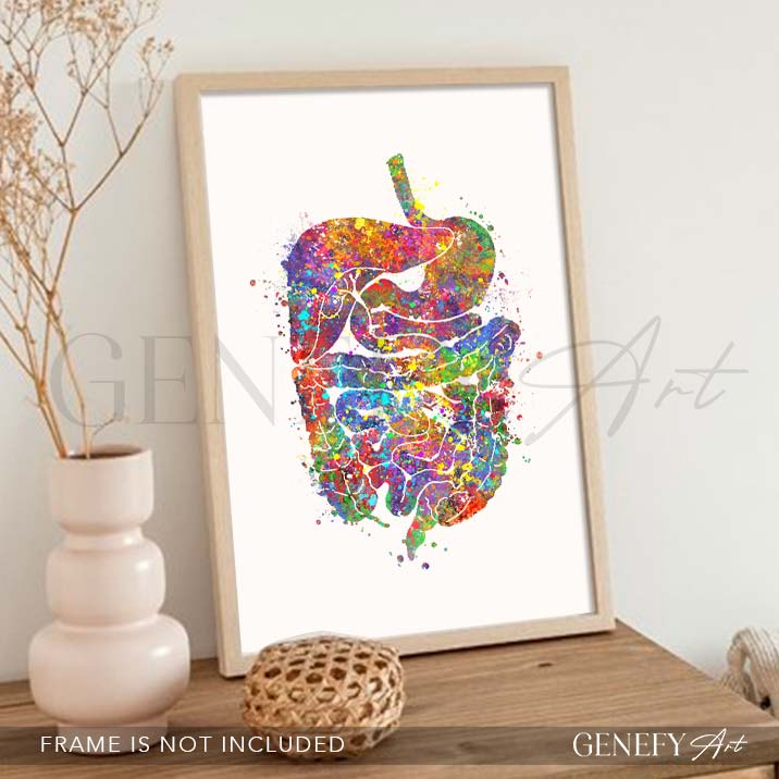 Digestive Tract Anatomy Watercolour Print