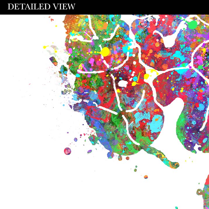 Digestive Tract Anatomy Watercolour Print