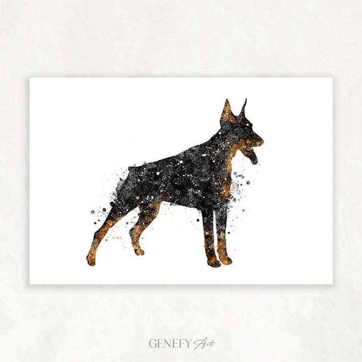 Doberman Black and White Watercolour Print