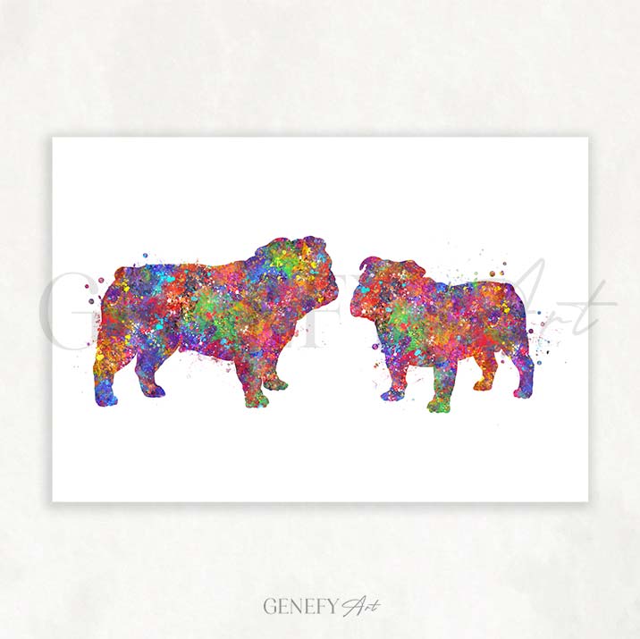 English Bulldog Couple Watercolour Print