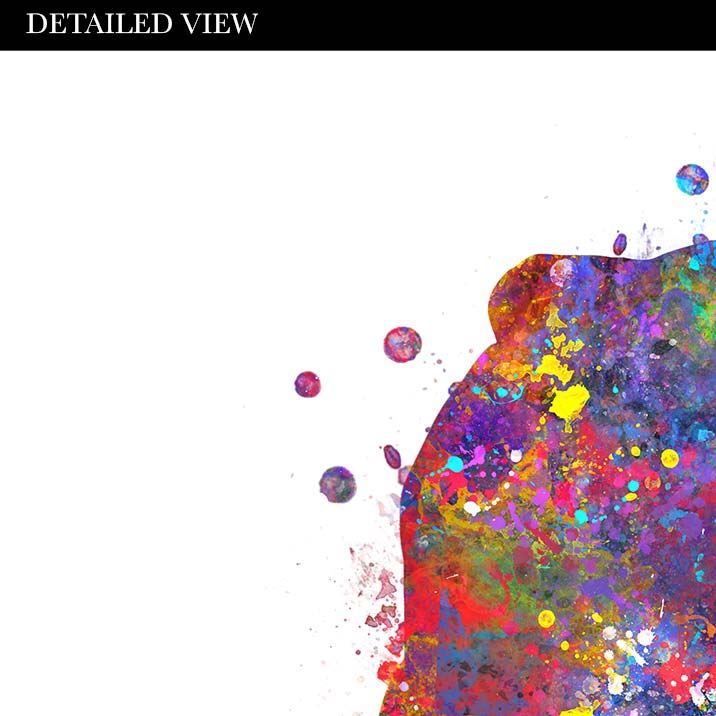 English Bulldog Couple Watercolour Print