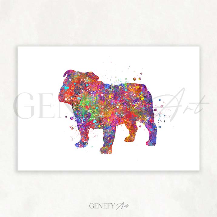 English Bulldog Watercolour Print