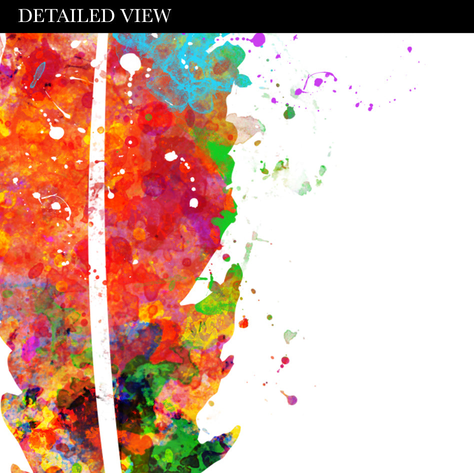 Feathers Watercolour Art Print