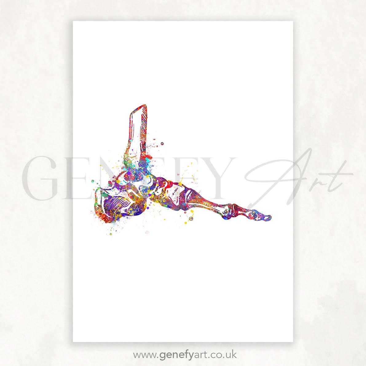 Ankle Joint Watercolour Print - Genefy Art