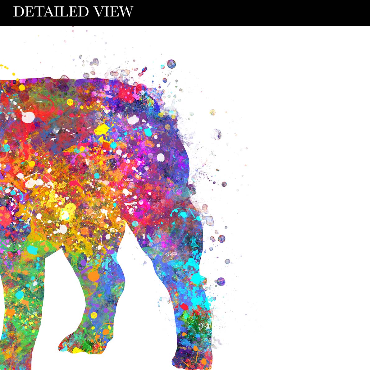 French Bulldog Set of 3 Watercolour Print - Genefy Art