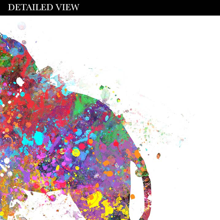 Giraffe Family of 4 Watercolour Art