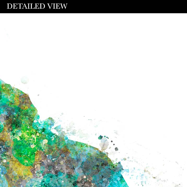 Giraffe Family of 4 Watercolour Art