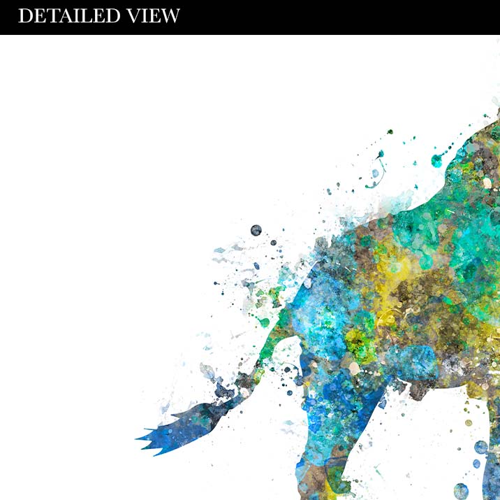 Giraffe Family of 4 Watercolour Art