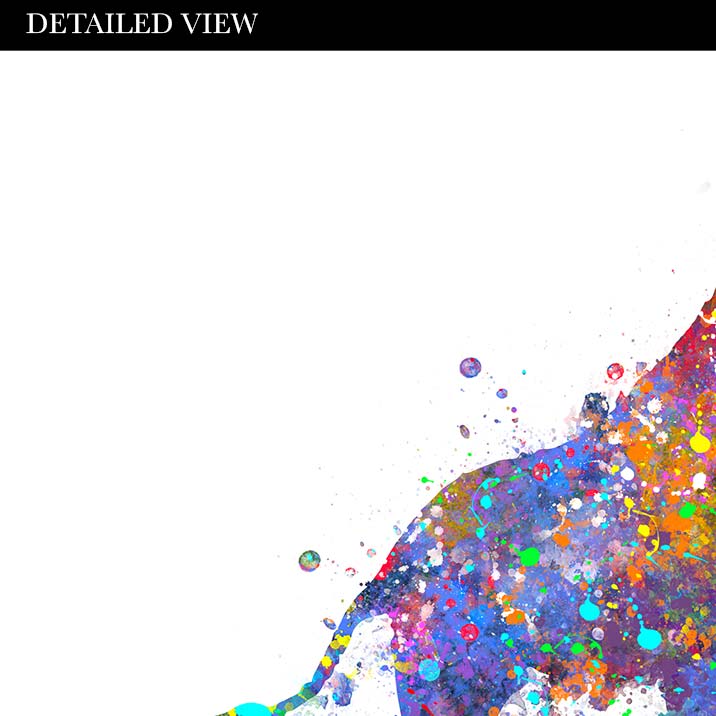 Giraffe Family of 6 Watercolour Art